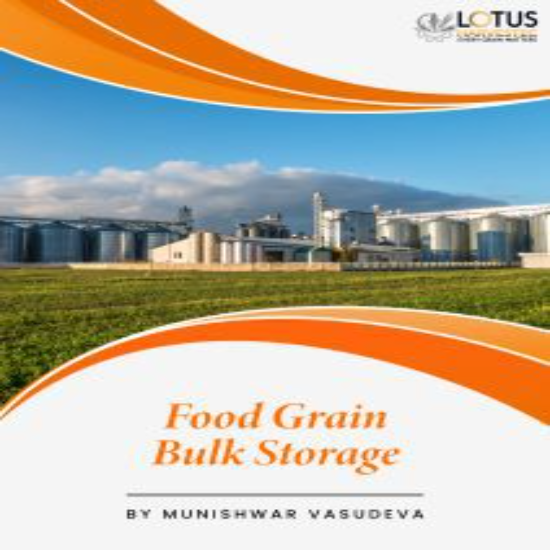 Every Grain Matters: Reflections on Learning, Writing, and Continuous Growth